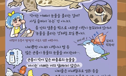 婴儿四个月挠耳朵网 | 婴儿四个月奶量标准,四个月婴儿奶量